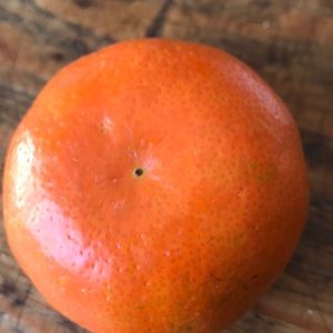 Meet your Posher, Jane